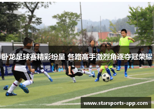 卧龙足球赛精彩纷呈 各路高手激烈角逐夺冠荣耀