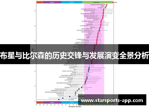 布星与比尔森的历史交锋与发展演变全景分析